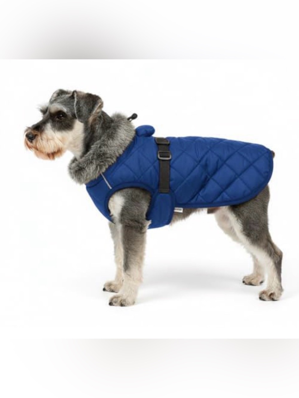 Dog Quilted Winter Coat with Faux Fur Collar - Blue
